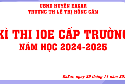 KÌ THI IOE CẤP TRƯỜNG NĂM HỌC 2024-2025