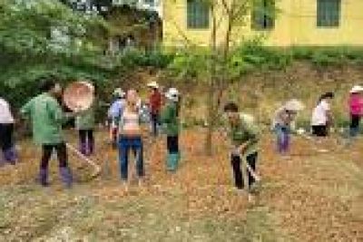 Để chuẩn bị cho các em đến trường ban đại diện cha mẹ học sinh kết hợp cùng giáo viên chủ nhiệm cùng đoàn thanh niên tổ chức lao động trường lớp.